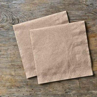 Recycled Paper Napkin